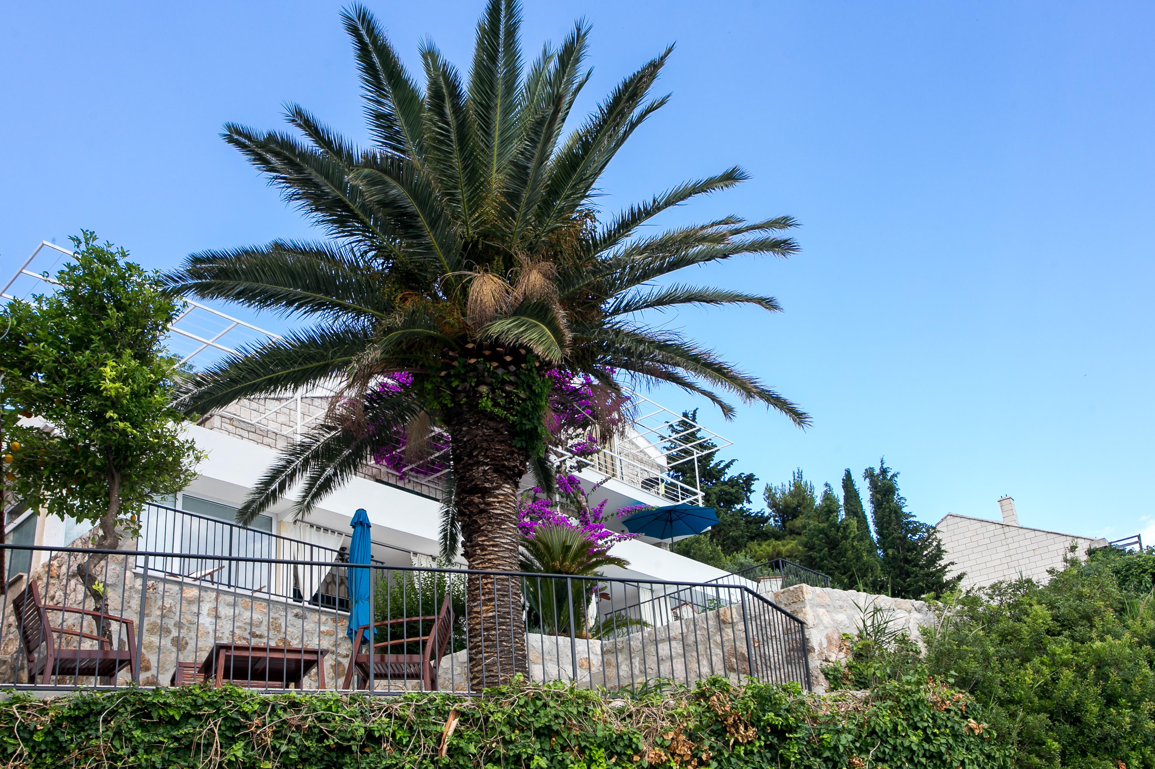 Apartments Villa Mirjana Mlini Dış mekan fotoğraf